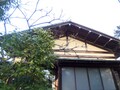 中古住宅嫌いが日本の家を短命にする？