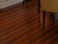 本物の木と間違えてしまう高性能フローリング
