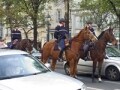 フランスの犯罪対策