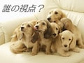 企画・プレゼンに必要なマーケティング思考