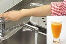 蛇口から無料ジュースが出る県はどこ？