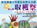 ダチョウの焼き鳥!?　東農大学『収穫祭』