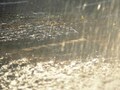 大型ハリケーン「カトリーナ」で数千人の死者　どうする？留学先でハリケーン