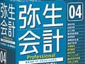 弥生会計を使いこなす　最初の一歩