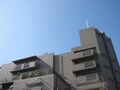 ここが失敗！私のマンション購入－資金編1