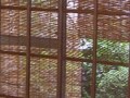 ひと手間かけて季節を感じる住まいに