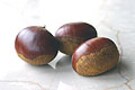 秋の疲れを癒し、活力アップに栗ごはん
