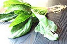 日本の野菜は味も栄養価も減っている?!