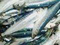 頭に良い食べ物！ベスト3