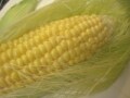 【むくみや夏バテの薬膳レシピ】 トウモロコシ料理