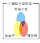 メタボリックシンドロームって何？