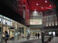 豊洲に「キャナリスト」は本当にいるのか？