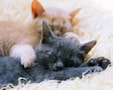 不眠にはどんなパターンがあるの？