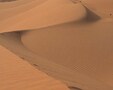 黄砂アレルギー対策で、咳・鼻水・湿疹予防