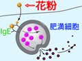 花粉症がつらいなら、病院に行こう！