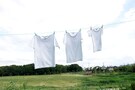 洗濯物に花粉をつけない方法