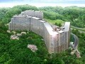 変わらない価値　森のあるマンション
