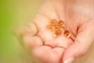FDA(米食品医薬品局)も警告しています　飲む中絶薬とは