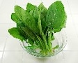 近年注目されている「葉酸」とは?