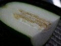 暑気払いと夏バテ改善に冬瓜