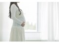 妊娠中の腰痛対策