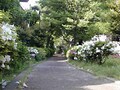 トラウマが記憶を消してしまう時