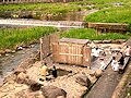 三朝温泉(みささ)