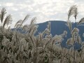 箱根の最新リゾート事情　仙石原エリア