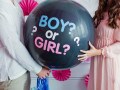 赤ちゃんの性別はいつ分かる？産み分け、性別ジンクスの本当のところ