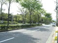 ガイドのおすすめエリアレポート（京都府）Vol.2　京都の新しい住宅街「北山」