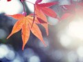 社会人大学、秋入学の落とし穴