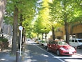 成城学園、今も憧れの、東京屈指のお屋敷街