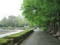北浦和、環境と利便性のバランスがほど良い街