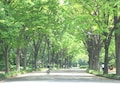 駒澤大学は子どもと犬に優しい緑の地