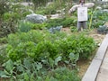 家庭菜園のポイント