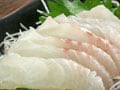 40年後は、お刺身が食べられないかも?!