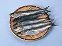 うつ病対策にもサカナ♪?