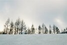 ピブロクト（北極圏）：北極圏特有の女性のヒステリー