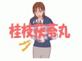 桂枝茯苓丸（けいしぶくりょうがん）