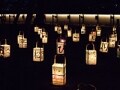 秋の風物詩「松江水燈路」―水と光の景観