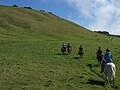 カフアランチ（牧場）で乗馬体験／ハワイ島