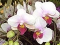 ランを楽しむ