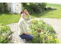 ガーデニングの一年計画を立てよう！庭を手入れするポイントは？