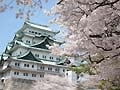 名古屋のお花見スポット・市内編