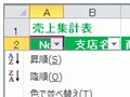 オートフィルターの使い方：Excel2007/2010