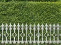 生垣の作り方！目隠しや庭木の背景となる生垣の植え方を解説