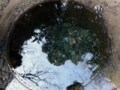 明治神宮にあるパワースポット「清正井」へ行ってみた