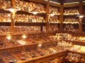ブルターニュ発のショコラティエ、ラルニコル／パリ