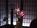 LEDでカラー照明を楽しむ