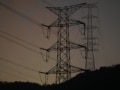 健康被害の心配は不要？ 電磁波の影響